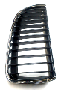 Image of Grille w chrome frame, right image for your BMW